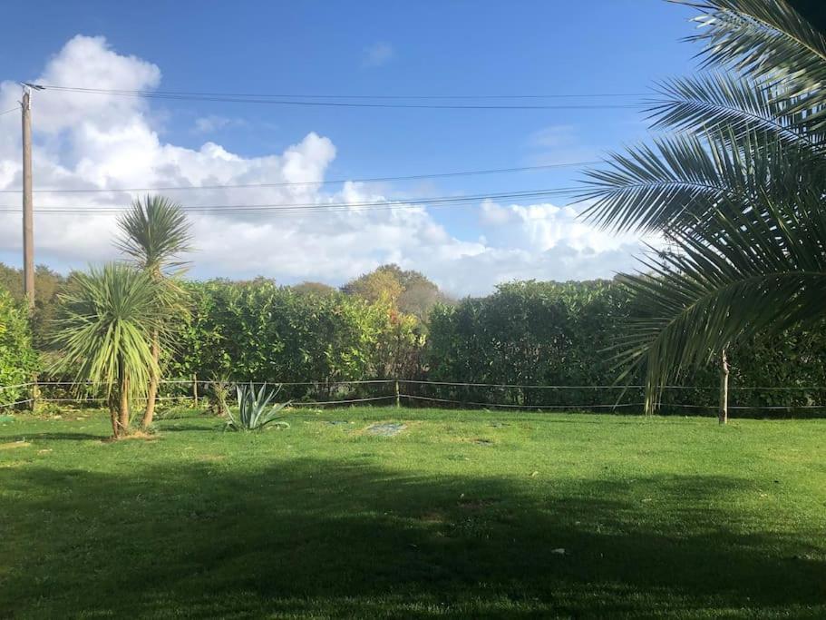 Studio A 10 Minutes De L'Ocean Saint-Andre-de-Seignanx Ngoại thất bức ảnh